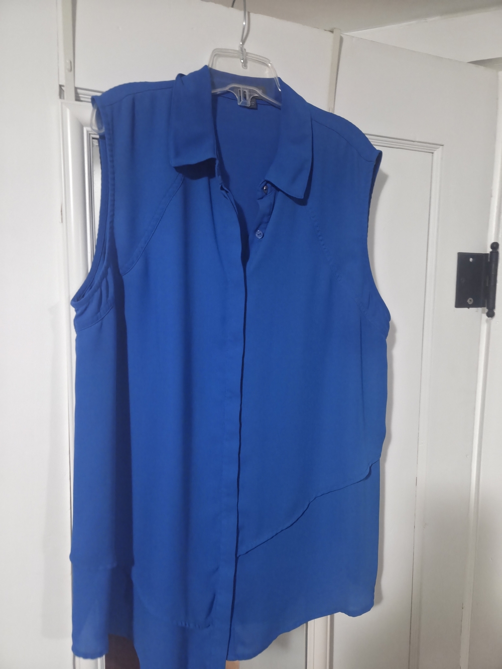 The Limited Sleeveless Button-Front Blouse - Blue
